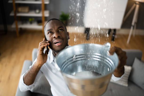 Best Water damage cleanup near me  in Clinton, MD