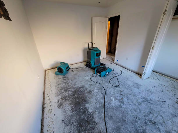 Best Residential water damage restoration  in Clinton, MD
