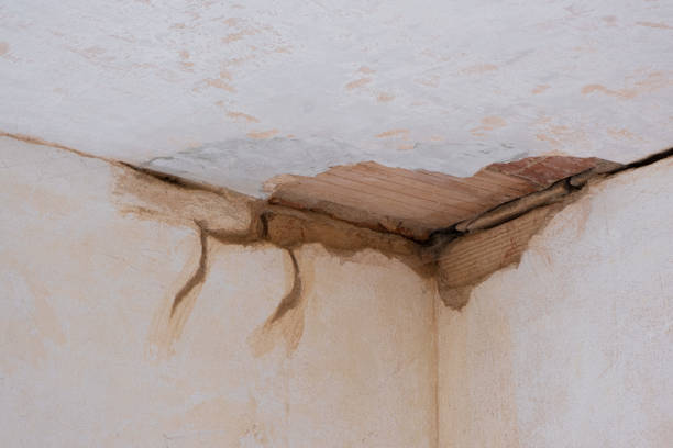 Best Water damage contractors near me  in Clinton, MD